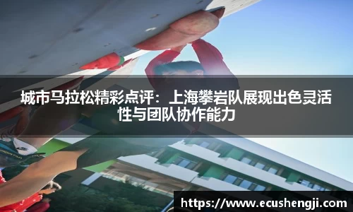 DG视讯官方网站