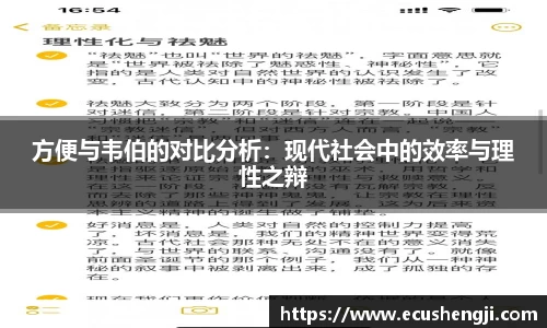 方便与韦伯的对比分析：现代社会中的效率与理性之辩