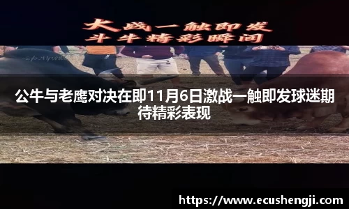 DG视讯登录入口